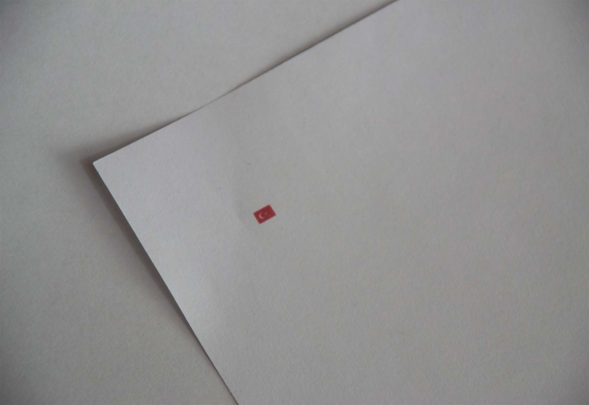 Flag as a Volatile Form - Installation view 1